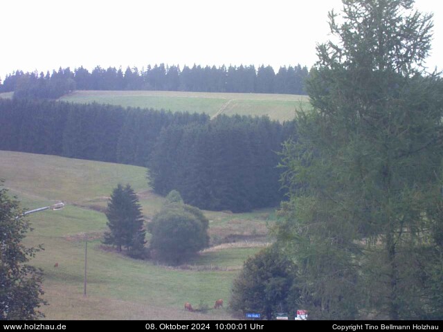 Webcam Holzhau am 08.10.2024 in Holzhau (Erzgebirge)