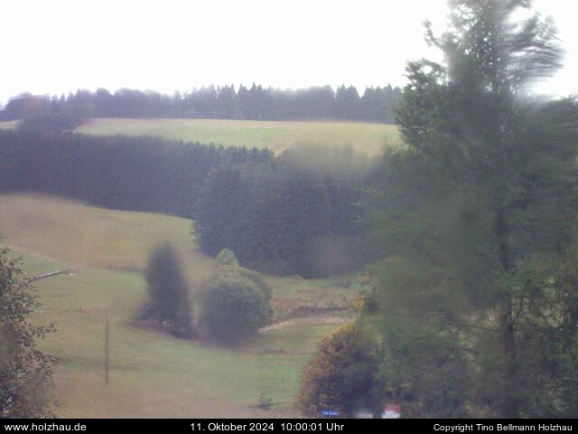 Webcam Holzhau am 11.10.2024 in Holzhau (Erzgebirge)