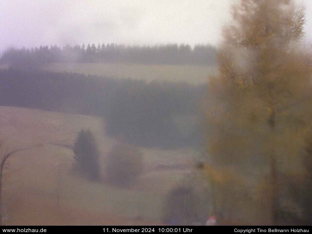 Webcam Holzhau am 11.11.2024 in Holzhau (Erzgebirge)