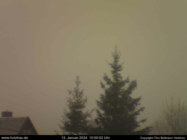 Webcam Holzhau am 12.01.2024 in Holzhau (Erzgebirge)