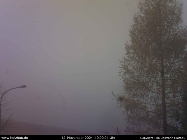 Webcam Holzhau am 12.11.2024 in Holzhau (Erzgebirge)