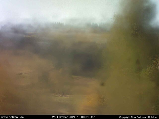 Webcam Holzhau am 25.10.2024 in Holzhau (Erzgebirge)