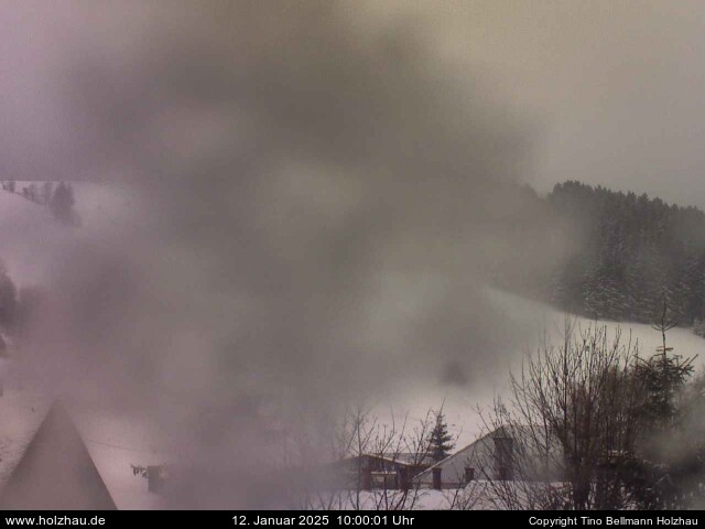 Webcam Holzhau am 12.01.2025 in Holzhau (Erzgebirge)